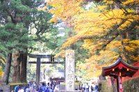 2008年度:日光・湯西川温泉